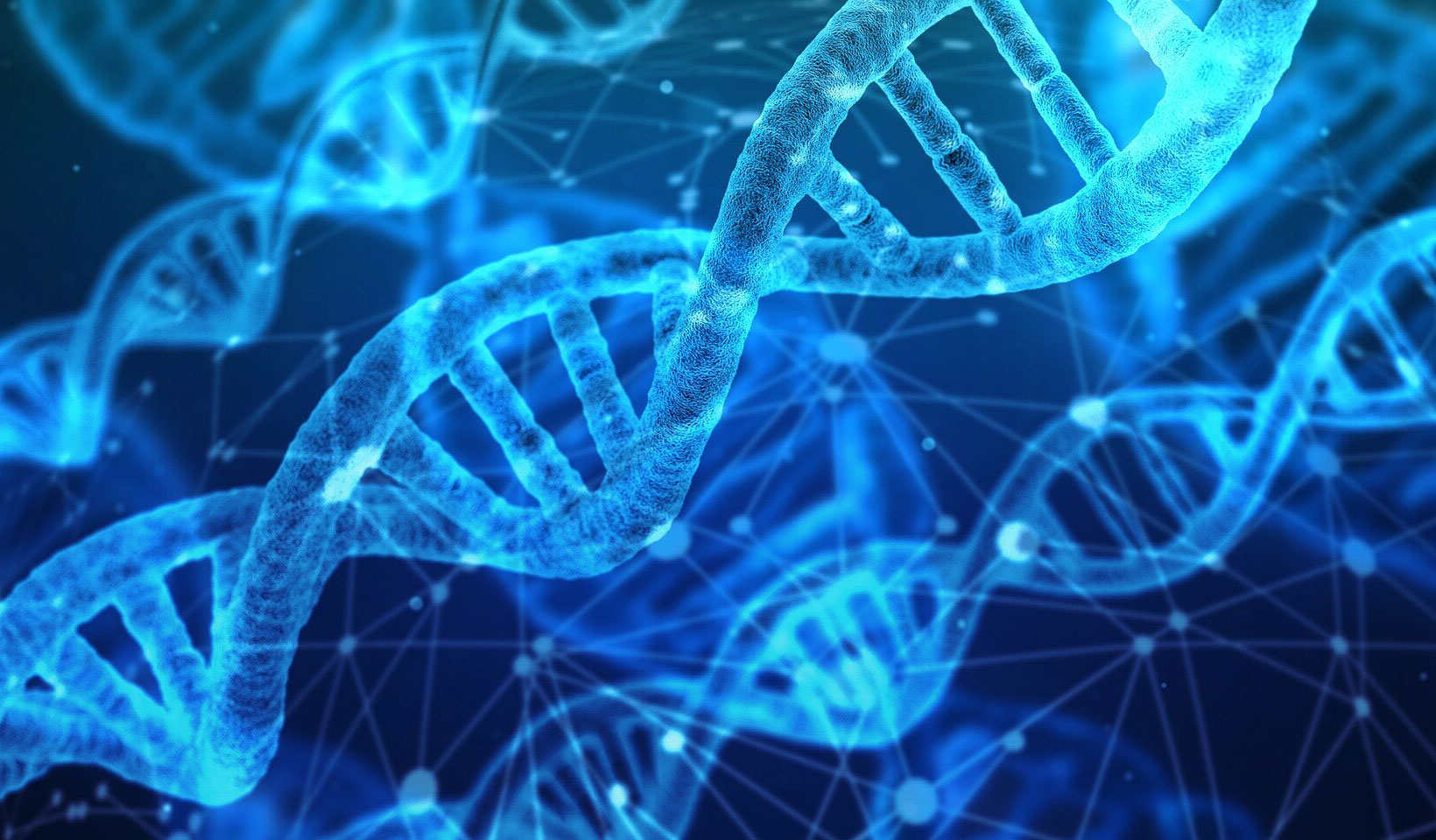 4-dna